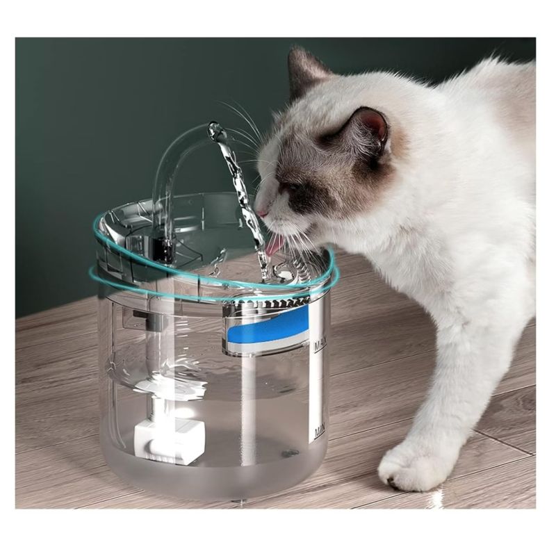 Comprar Fuente Bebedero Gato Transparente en Electroshopy